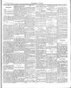 Dundalk Examiner and Louth Advertiser Saturday 19 January 1907 Page 5