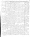 Dundalk Examiner and Louth Advertiser Saturday 25 October 1913 Page 5