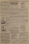 Illustrated London News Saturday 21 May 1842 Page 11