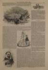Illustrated London News Saturday 13 August 1842 Page 5