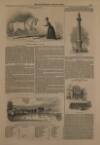 Illustrated London News Saturday 27 August 1842 Page 13