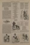 Illustrated London News Saturday 03 September 1842 Page 13