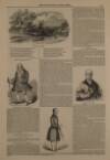 Illustrated London News Saturday 01 October 1842 Page 13