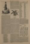 Illustrated London News Saturday 15 October 1842 Page 13