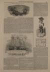 Illustrated London News Saturday 19 November 1842 Page 5