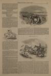 Illustrated London News Saturday 28 January 1843 Page 13