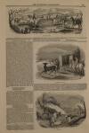 Illustrated London News Saturday 22 April 1843 Page 5