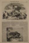 Illustrated London News Saturday 27 May 1843 Page 9