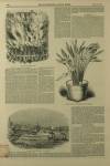 Illustrated London News Saturday 13 April 1844 Page 8