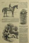 Illustrated London News Saturday 31 May 1845 Page 5