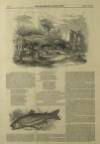 Illustrated London News Saturday 28 March 1846 Page 12