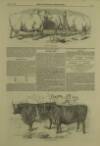Illustrated London News Saturday 11 December 1847 Page 5