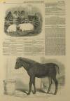 Illustrated London News Saturday 09 December 1848 Page 12