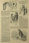 Illustrated London News Saturday 30 December 1848 Page 18