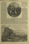 Illustrated London News Saturday 24 February 1849 Page 9