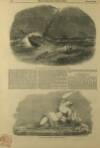 Illustrated London News Saturday 10 March 1849 Page 8