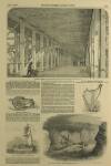 Illustrated London News Saturday 01 September 1849 Page 5