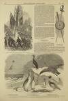 Illustrated London News Saturday 09 February 1850 Page 16