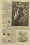 Illustrated London News Saturday 02 March 1850 Page 13