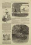 Illustrated London News Saturday 08 June 1850 Page 13