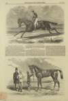Illustrated London News Saturday 15 June 1850 Page 4
