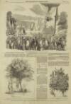 Illustrated London News Saturday 29 June 1850 Page 16