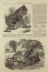 Illustrated London News Saturday 17 August 1850 Page 28