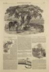 Illustrated London News Saturday 31 August 1850 Page 5