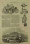 Illustrated London News Saturday 28 December 1850 Page 4