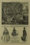 Illustrated London News Saturday 28 December 1850 Page 16