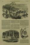 Illustrated London News Saturday 12 April 1851 Page 12