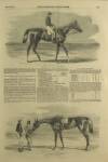 Illustrated London News Saturday 31 May 1851 Page 5