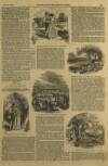Illustrated London News Saturday 28 June 1851 Page 27