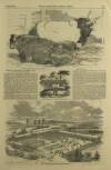 Illustrated London News Saturday 26 July 1851 Page 5