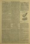 Illustrated London News Saturday 23 August 1851 Page 27