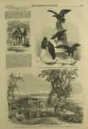 Illustrated London News Saturday 13 September 1851 Page 13