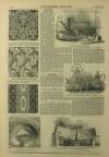 Illustrated London News Saturday 08 November 1851 Page 24