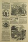 Illustrated London News Saturday 15 November 1851 Page 5