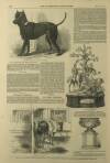 Illustrated London News Saturday 15 November 1851 Page 16