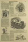 Illustrated London News Saturday 22 November 1851 Page 13