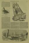 Illustrated London News Saturday 01 May 1852 Page 5