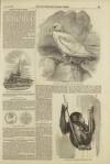 Illustrated London News Saturday 31 July 1852 Page 5