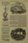 Illustrated London News Saturday 21 August 1852 Page 12