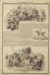 Illustrated London News Saturday 18 September 1852 Page 28