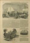 Illustrated London News Saturday 08 January 1853 Page 12