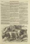 Illustrated London News Saturday 23 July 1853 Page 17