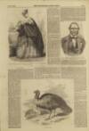 Illustrated London News Saturday 24 December 1853 Page 5