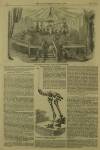 Illustrated London News Saturday 07 January 1854 Page 22