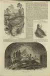 Illustrated London News Saturday 21 January 1854 Page 5