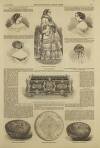 Illustrated London News Saturday 28 January 1854 Page 13